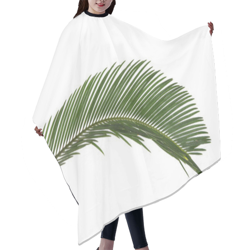 Personality  Beautiful Tropical Sago Palm Leaf On White Background Hair Cutting Cape