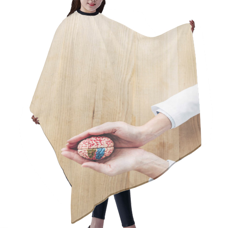 Personality  Cropped View Of Doctor Holding Model Of Brain In Clinic  Hair Cutting Cape