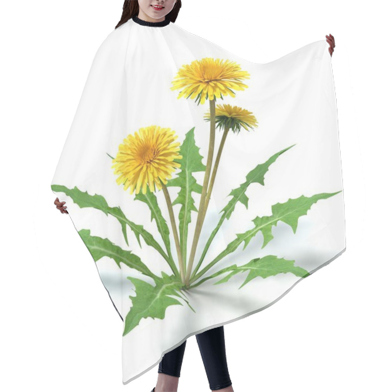 Personality  Dandelion Flower Hair Cutting Cape