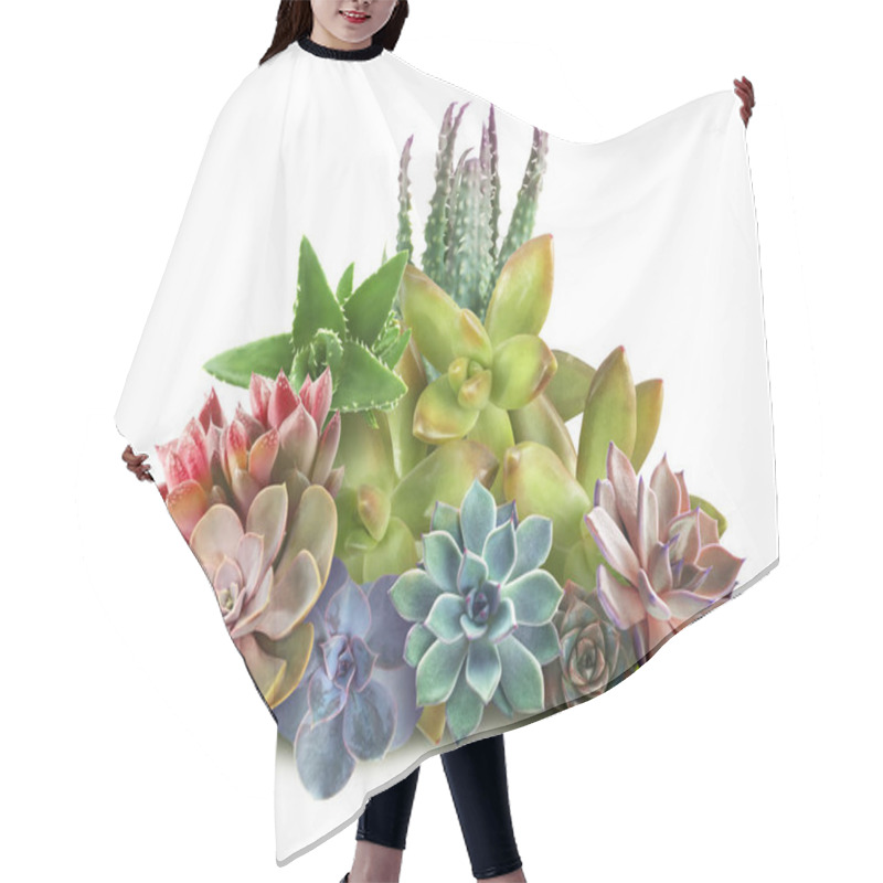 Personality  Collection Of Different Beautiful Succulents On White Background Hair Cutting Cape