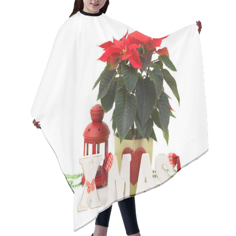 Personality  Poinsettia And 