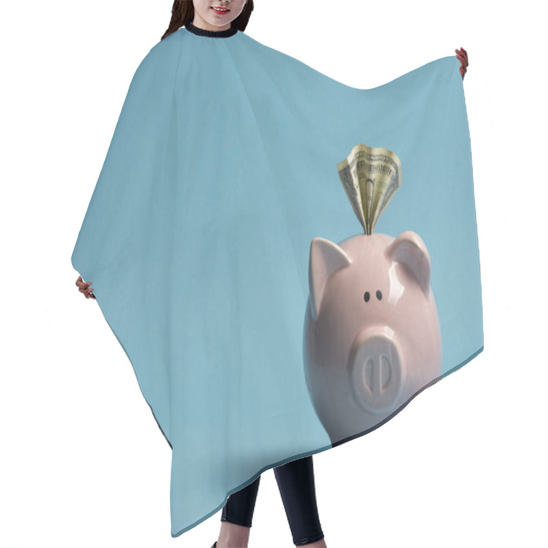 Personality  Piggy Bank And Dollar Cash Money. Business, Finance, Investment, Saving And Corruption Concept. Hair Cutting Cape