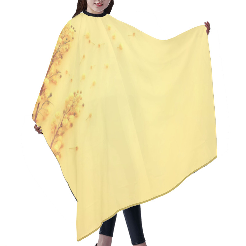 Personality  Top View Image Of Spring Yellow Mimosa Flowers Composition Background Hair Cutting Cape