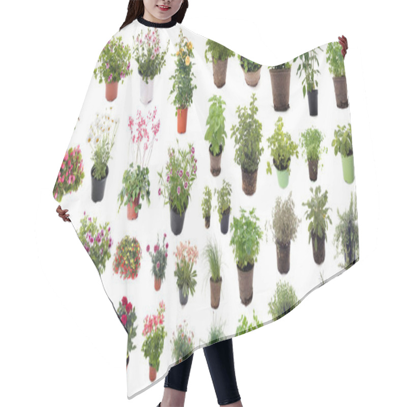 Personality  Aromatic Herbs And Flower Plants Hair Cutting Cape