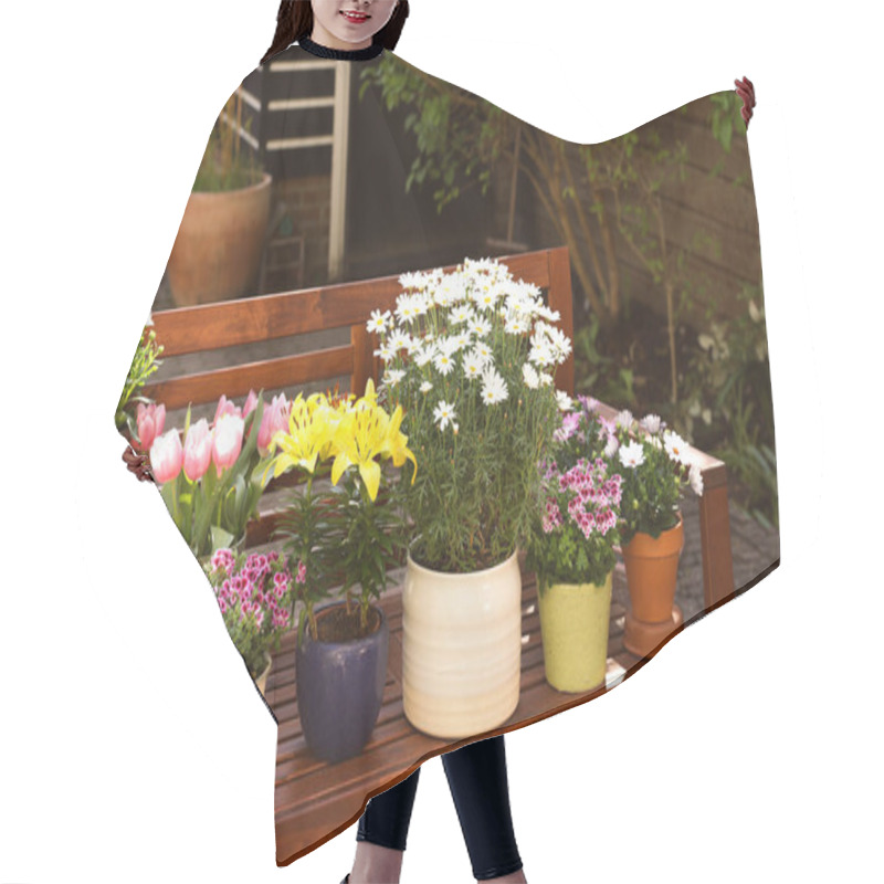 Personality  Many Different Beautiful Blooming Plants In Flowerpots On Wooden Bench Outdoors Hair Cutting Cape