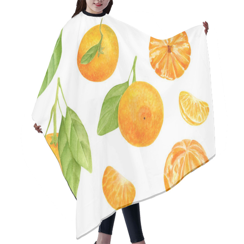 Personality  Watercolor Tangerine Set. Hand Drawn Botanical Illustration Of Peeled Mandarins, Citrus Fruits With Leaves And Slices. Clipart Elements Isolated On White Background. Hair Cutting Cape