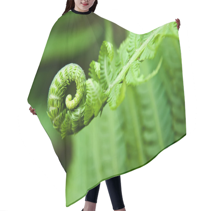 Personality  Young Fern Leaf Hair Cutting Cape