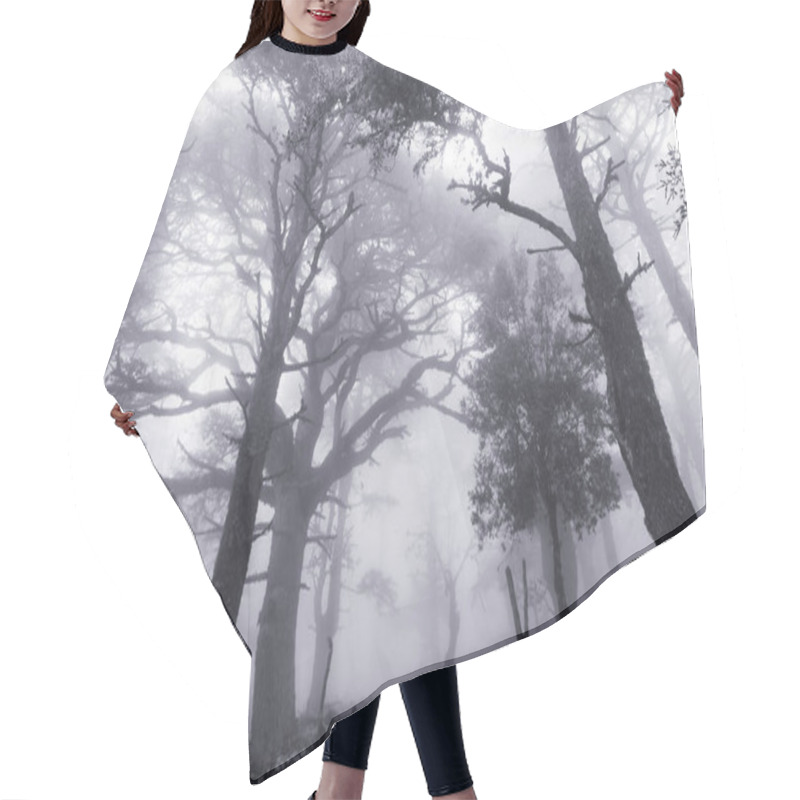 Personality  Magic Misty Forest Hair Cutting Cape