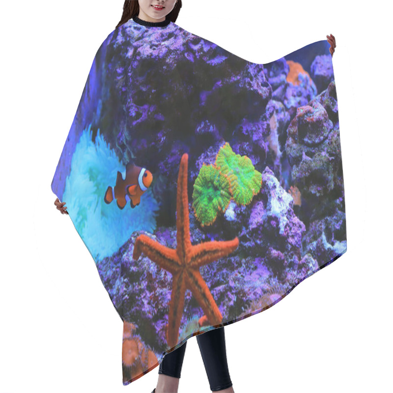 Personality  Beautiful Reef Aquarium Scene With Red Seastar  Hair Cutting Cape