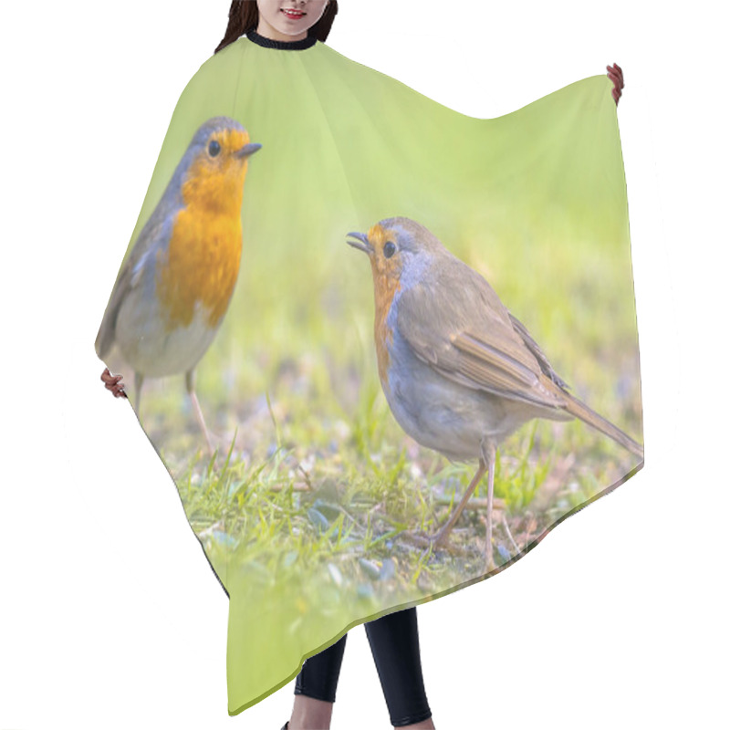 Personality  Couple Robin In Grass Backyard Hair Cutting Cape