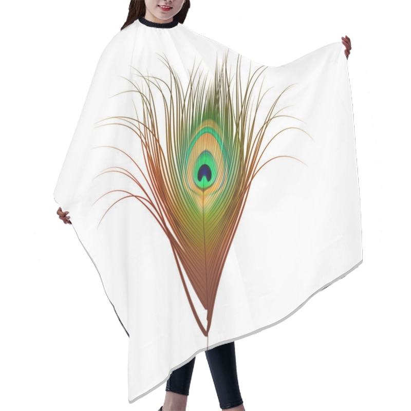 Personality  Vector Peacock Feather Isolated On White Hair Cutting Cape