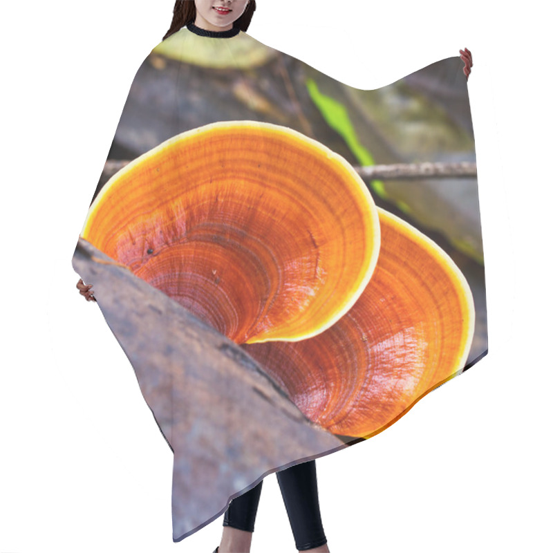 Personality  Brown Mushrooms Hair Cutting Cape