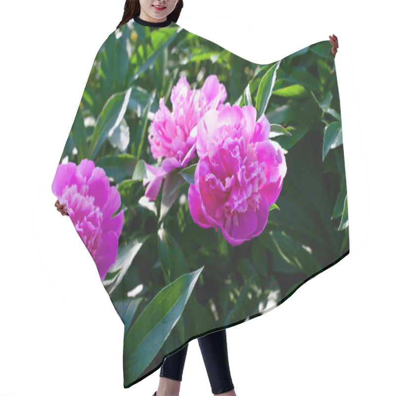 Personality  Growing Peonies With Green Leaves Hair Cutting Cape