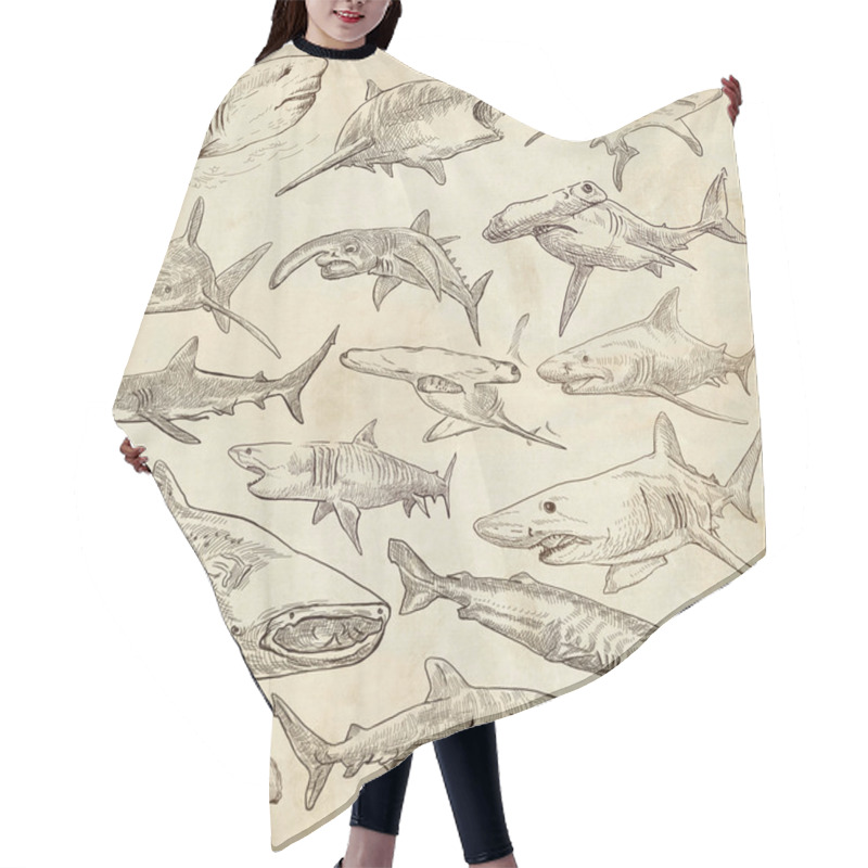 Personality  Sharks - An Hand Drawn Pack. Freehand Sketching, Originals. Hair Cutting Cape