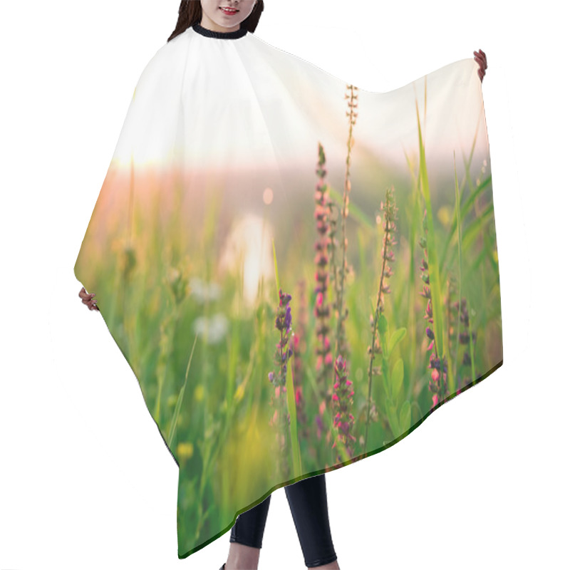 Personality  Beautiful Green Meadow At Sunrise Hair Cutting Cape