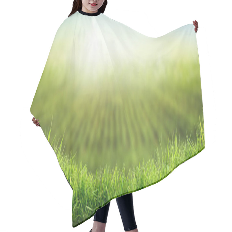 Personality  Lush Spring Green Grass Background Crops Growing On Farmland In  Hair Cutting Cape