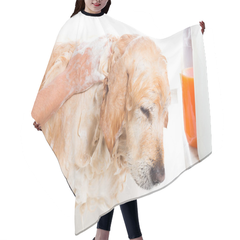 Personality  Bathroom To A Dog Hair Cutting Cape