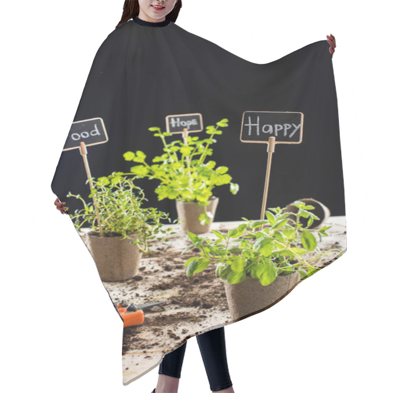 Personality  Fresh Green Plants And Cards  Hair Cutting Cape