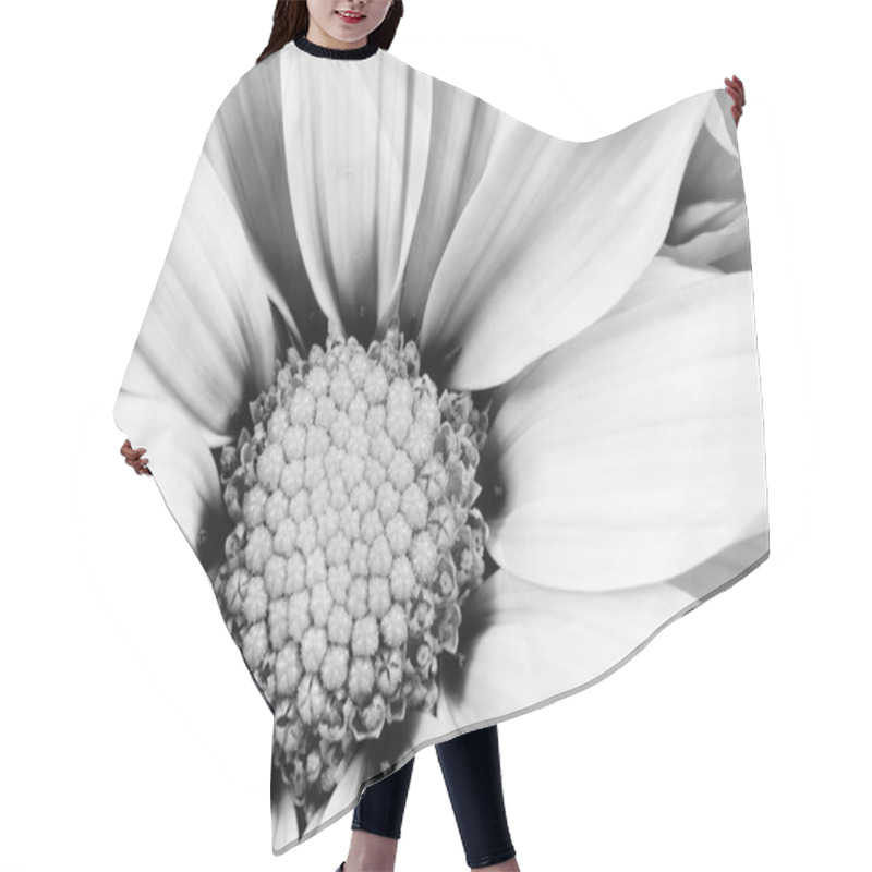 Personality  Monochrome Daisy Flower White Carpels Close Up Hair Cutting Cape