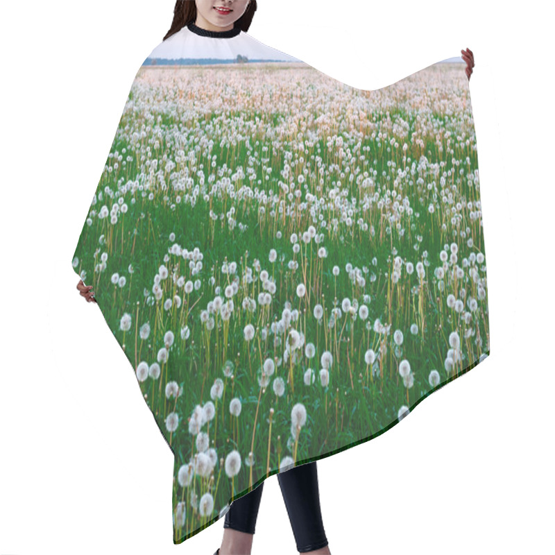 Personality  Field Of Dandelions Hair Cutting Cape