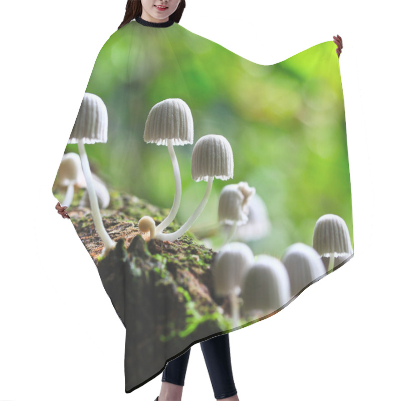 Personality  White Mushrooms Hair Cutting Cape