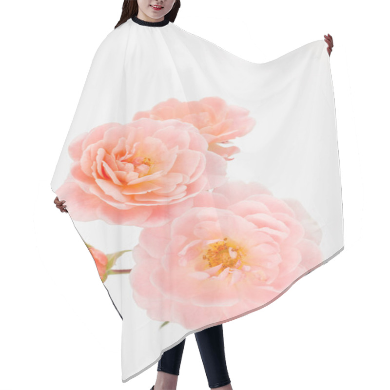 Personality  Peach Pink Garden Rose Cluster Hair Cutting Cape