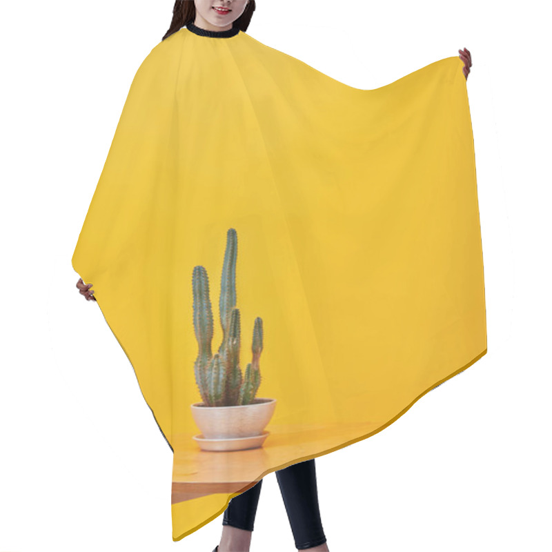 Personality  Cactus In Flowerpot At Wooden Coffee Isolated On Yellow Hair Cutting Cape