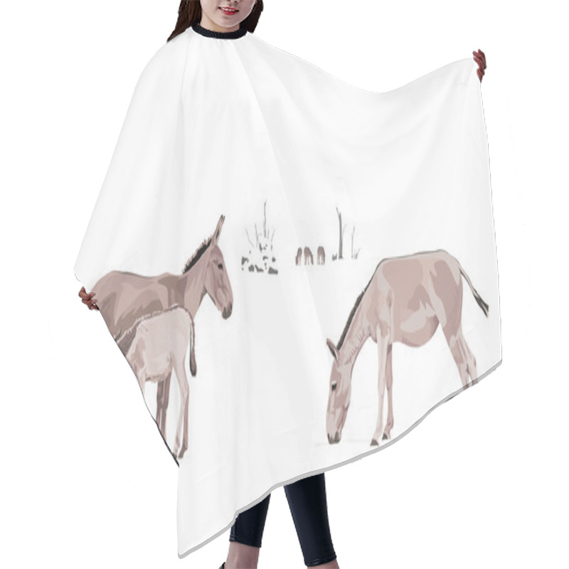 Personality  Equus Hemionus Onager Hair Cutting Cape