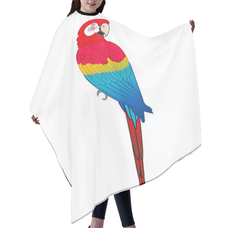 Personality  Beautiful Tropical Exotic Parrot Bird. Vector Illustration. Hair Cutting Cape