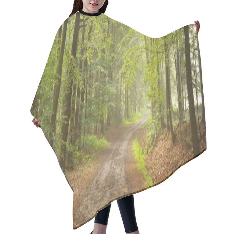 Personality  Pathway In A Majestic Forest. Natural Tunnel. Mighty Tree Silhouettes. Fog, Sunbeams, Soft Sunlight. Atmospheric Dreamlike Summer Landscape. Pure Nature, Ecology, Fantasy, Fairytale Hair Cutting Cape