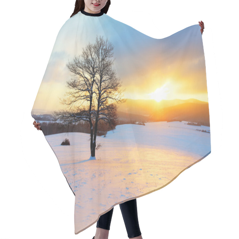 Personality  Winter Landscape In Snow Nature With Sun And Tree Hair Cutting Cape