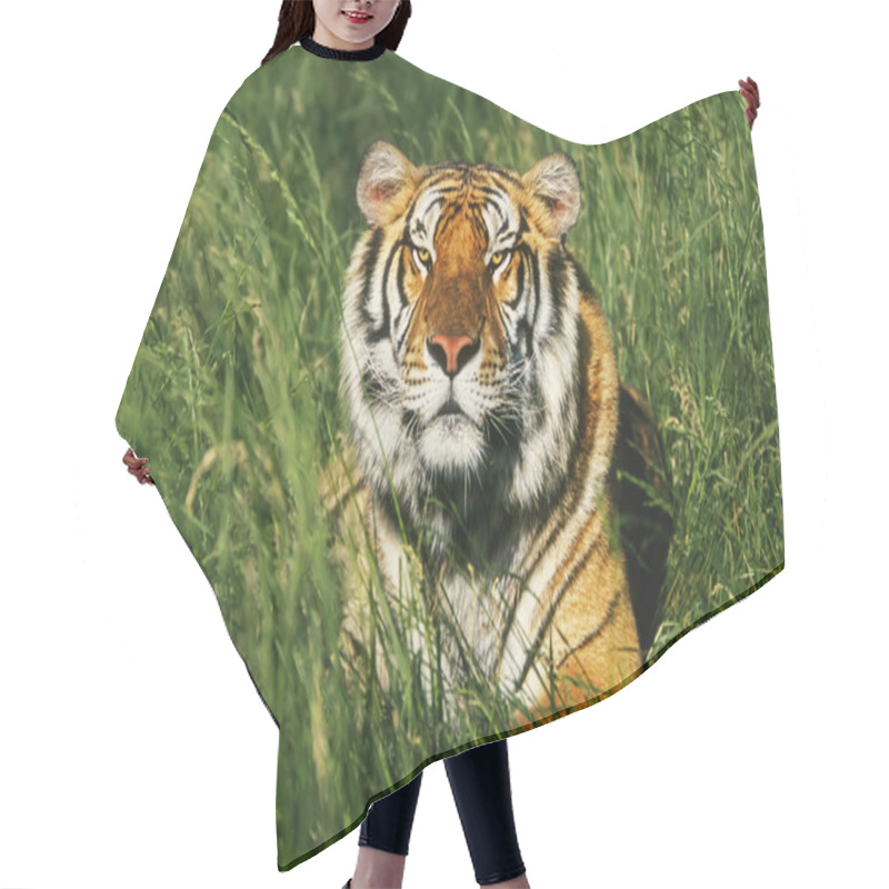 Personality  Bengal Tiger Hair Cutting Cape