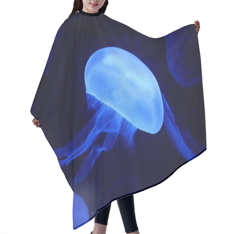 Personality  Jellyfish, Sea Underwater Fauna Hair Cutting Cape