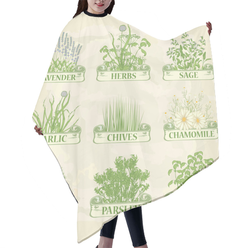 Personality  Herbs Hair Cutting Cape