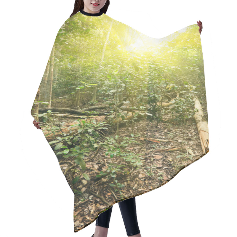 Personality  Sunlight In Tropical Jungle Forest Hair Cutting Cape