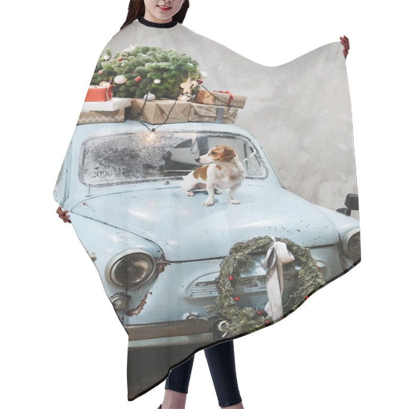 Personality  Small Beagle Dog Sits On The Hood Of Blue Retro Car With Presents On The Roof, Decorated For Christmas And New Year Holidays Hair Cutting Cape