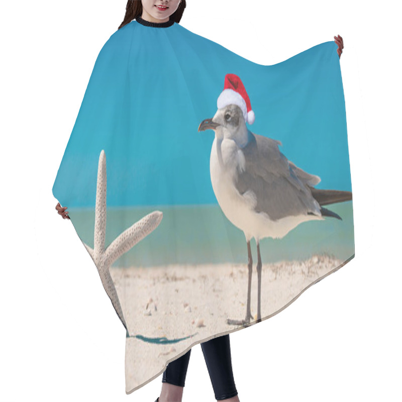 Personality  Starfish And Seagull On The Beach. Christmas Seagull In Red Santa Or Snowman Hat At Sunny Beach. Holiday Concept For Happy New Year Post Cards. Florida Winter. Ocean Or Gulf Of Mexico. Tropical Nature Hair Cutting Cape