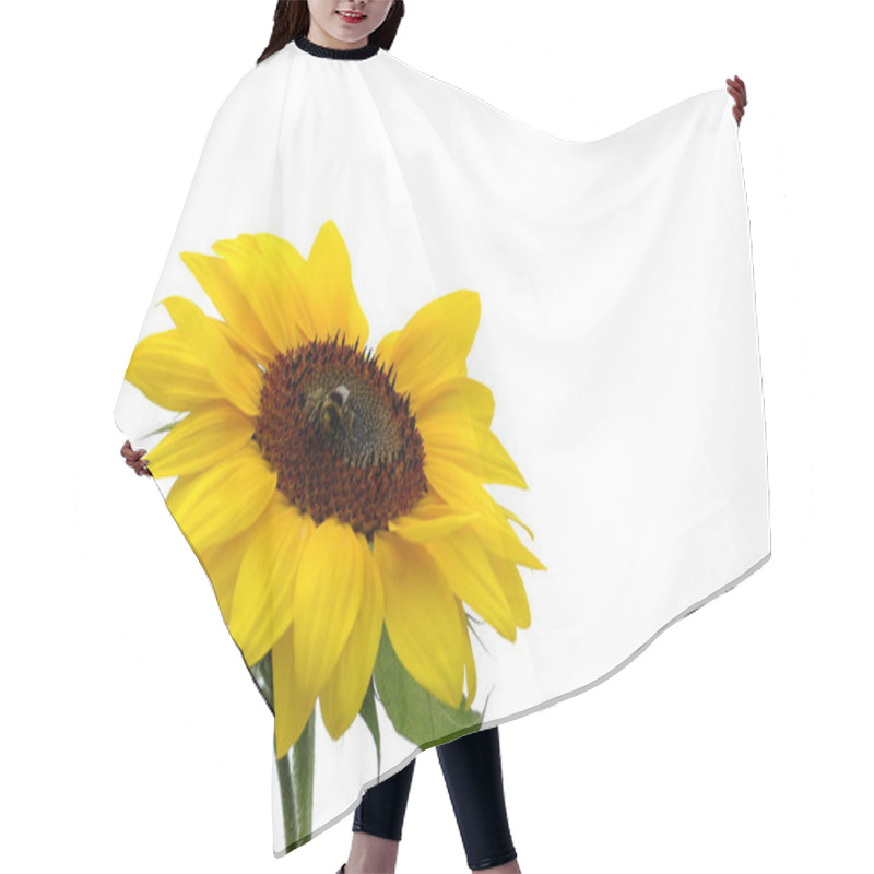 Personality  Sunflower Close Up View Hair Cutting Cape