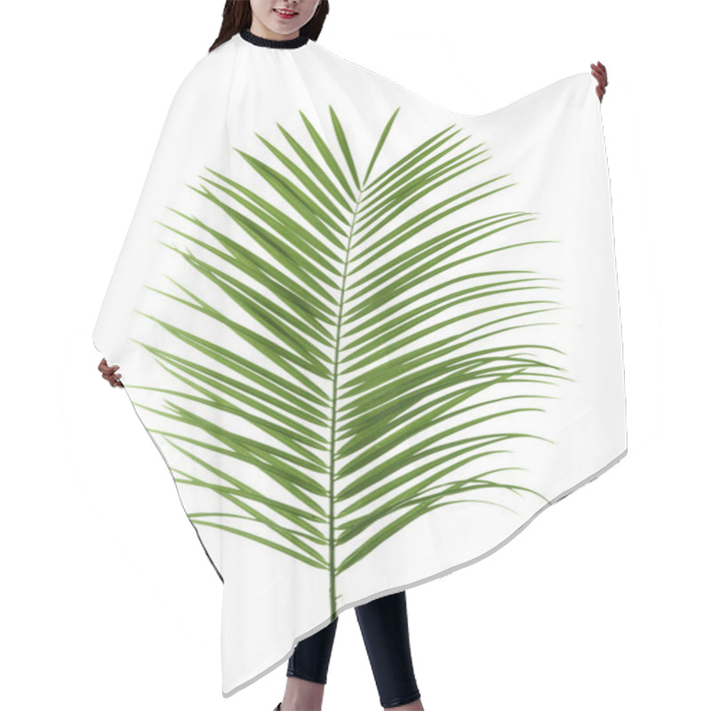 Personality  Beautiful Tropical Sago Palm Leaf On White Background Hair Cutting Cape