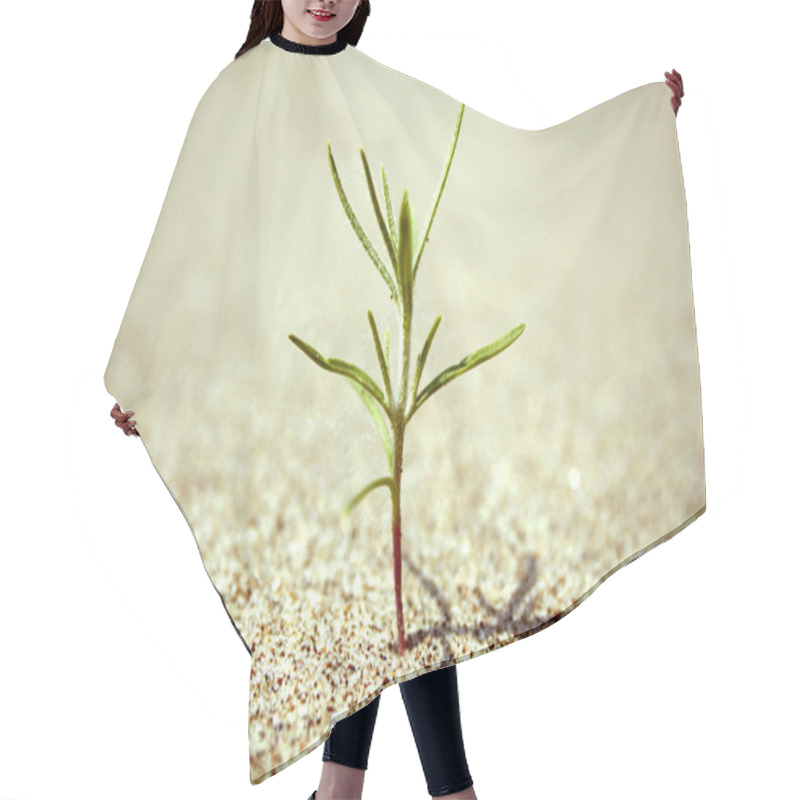 Personality  Bud Sprout In The Sand Hair Cutting Cape