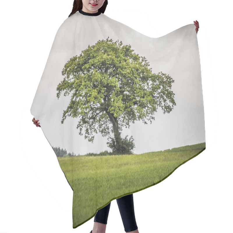 Personality  Lonely Tree Hair Cutting Cape