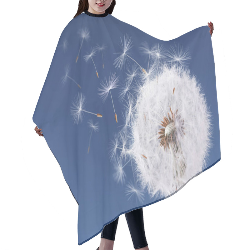 Personality  Dandelion Flying On Blue Background Hair Cutting Cape