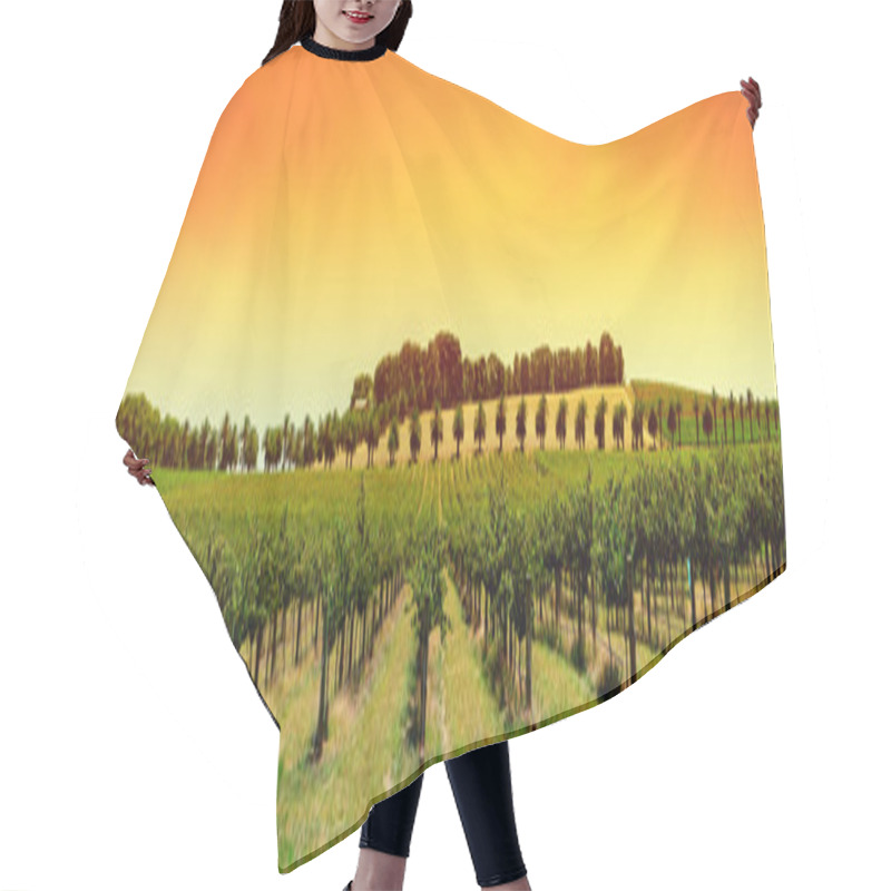 Personality  Vineyard Panorama Sunset Hair Cutting Cape