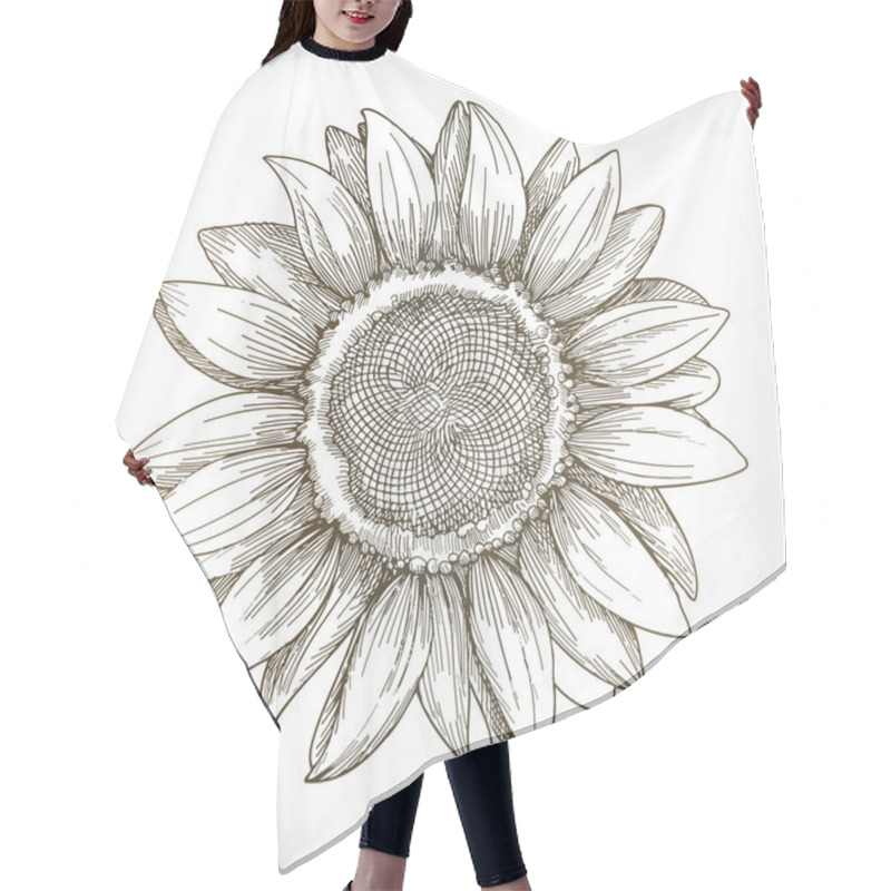 Personality  Sunflower Sketch, Hand Drawing Hair Cutting Cape