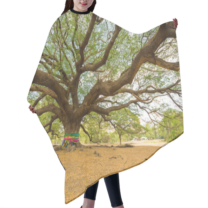 Personality  Big Rain Tree  Hair Cutting Cape