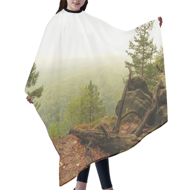 Personality  View Into Deep Misty Valley, Peaks  Of Trees Increased From Autumn Fog. Hair Cutting Cape