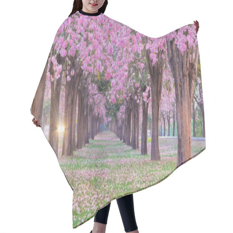 Personality  Scenic Shot Of Romantic Blossoming Pink Trumpet Flower Trees , It Look Like Cherry Trees In Spring Park. Hair Cutting Cape