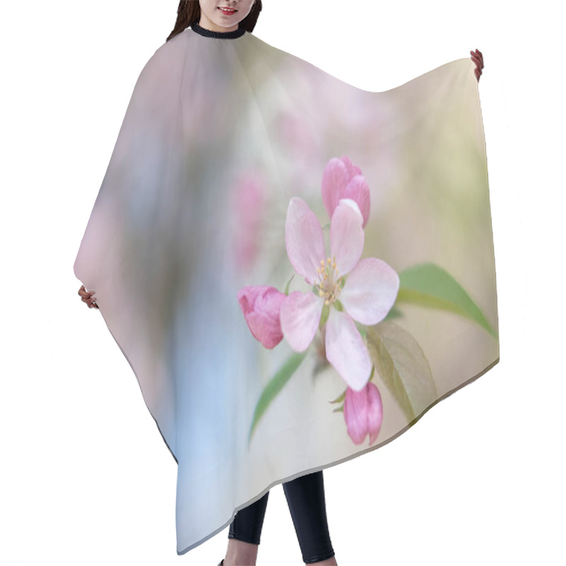 Personality  Spring Blossoming Tree With Pink Flowers, Close Up Hair Cutting Cape