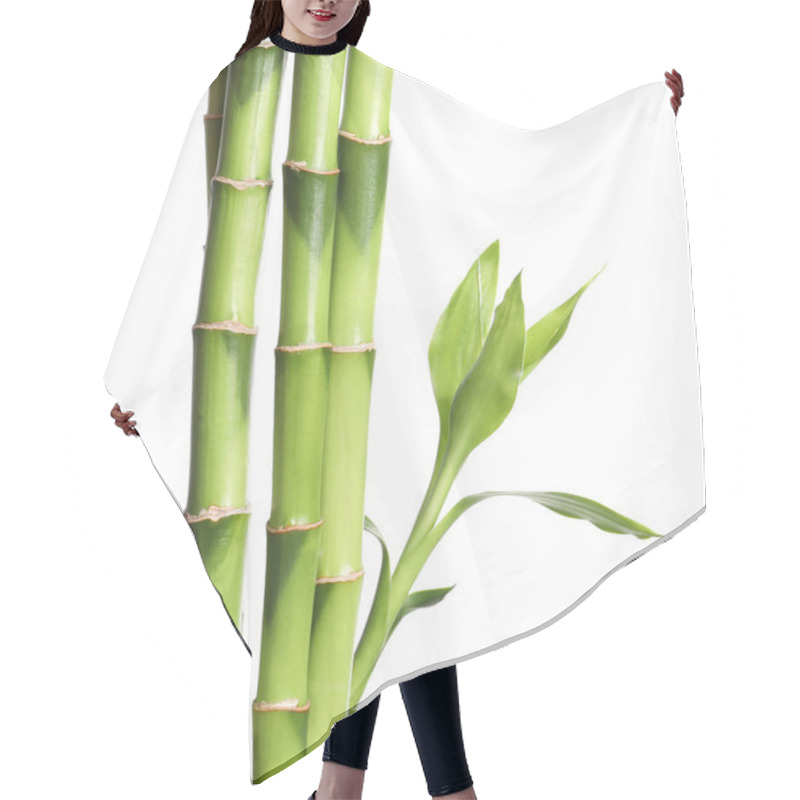 Personality  Green Bamboo Stems With Leaves On White Background Hair Cutting Cape