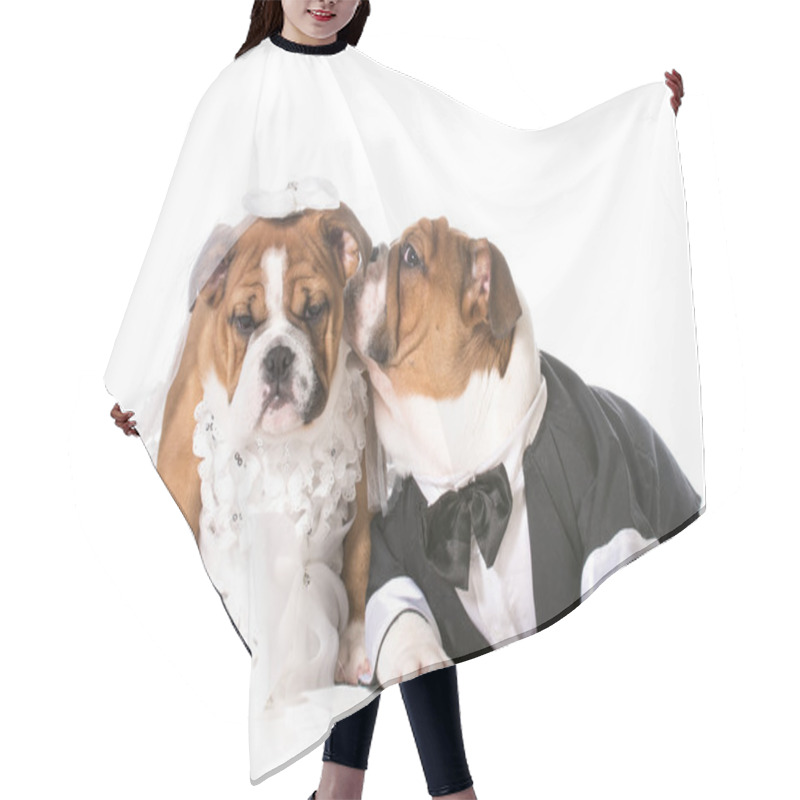 Personality  Dog Bride And Groom Hair Cutting Cape